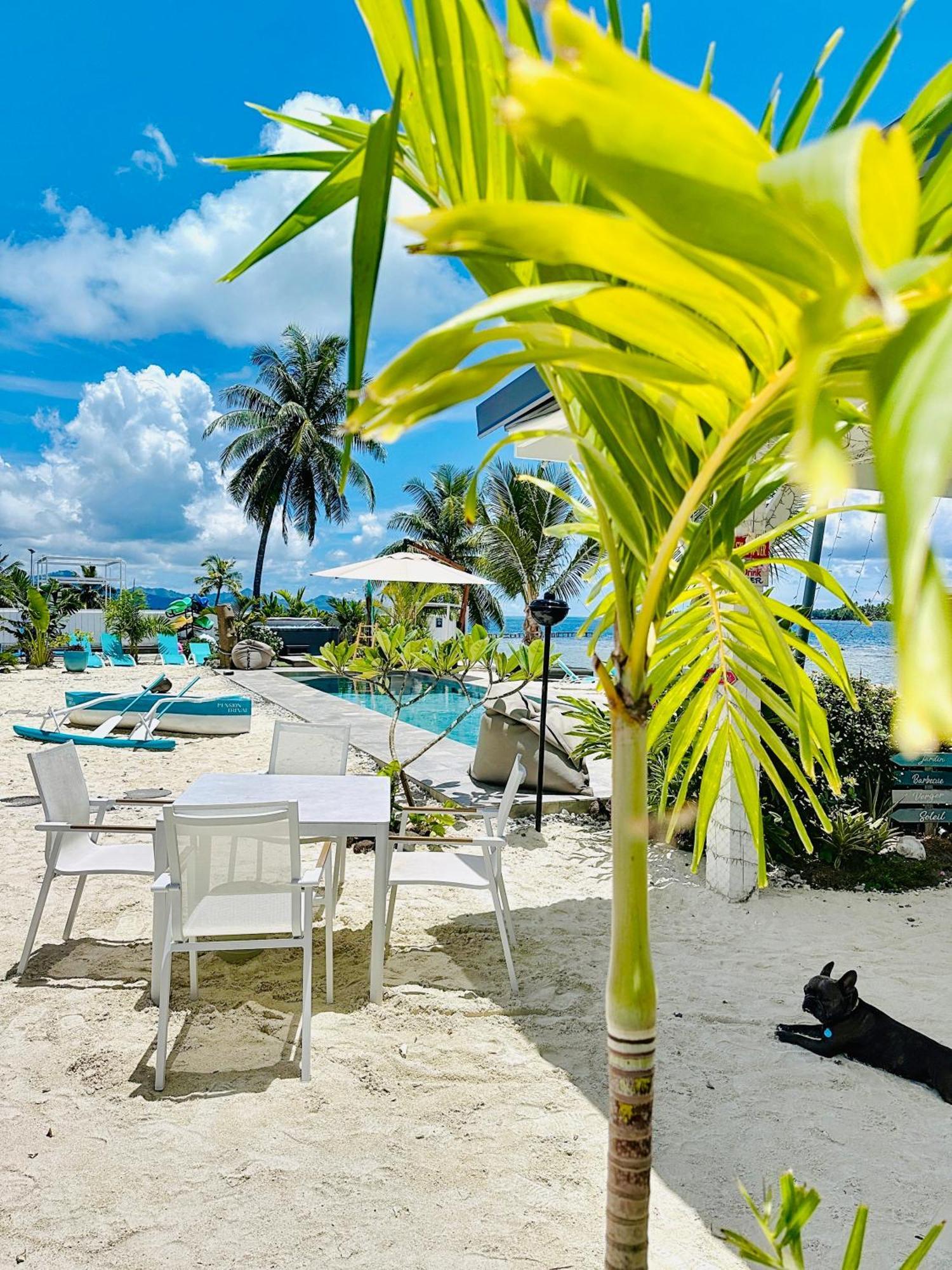 Pension Irivai, Appartement Uo Uo 3 Chambres Vue Mer Uturoa Extérieur photo